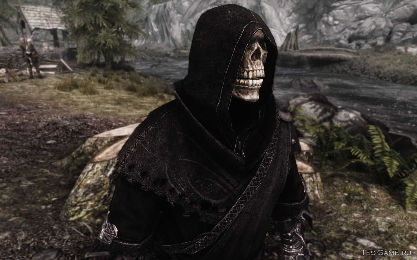 Witcher | skyrim