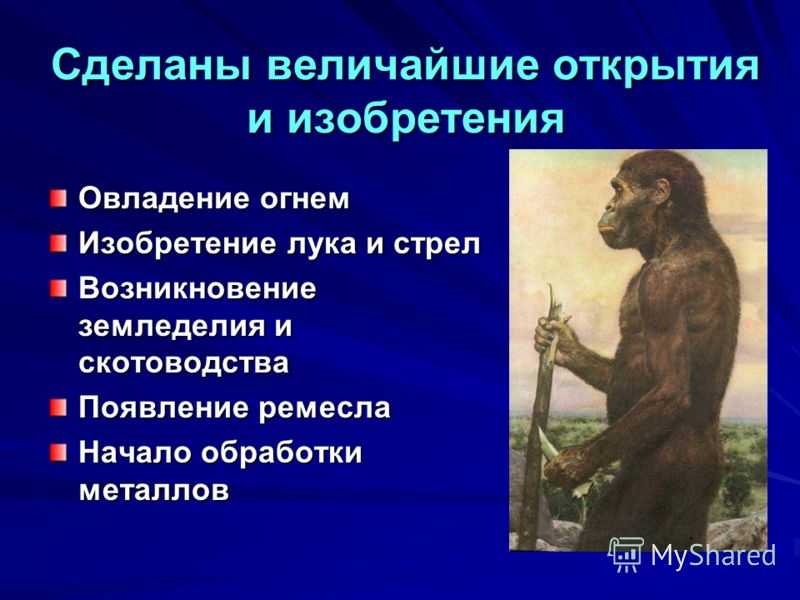 Урок 1. искусство первобытного общества и древнего мира