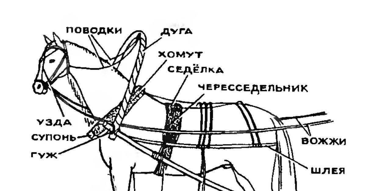 Полный список разводимых мобов в майнкрафте (2022)