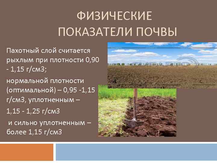 Площадь - пахотная земля
 - большая энциклопедия нефти и газа, статья, страница 1
