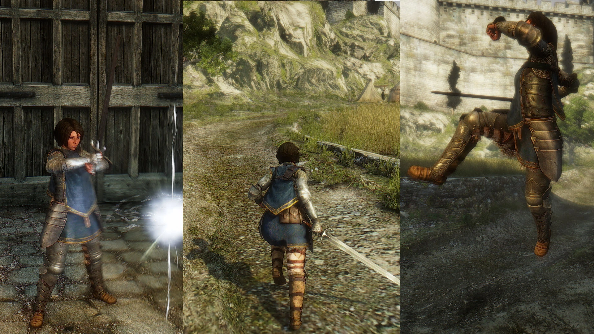 Dragon's dogma | dragon's dogma wiki | fandom