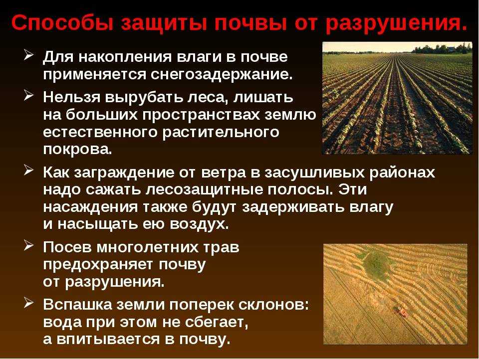 Farming simulator 19 урожайность культур