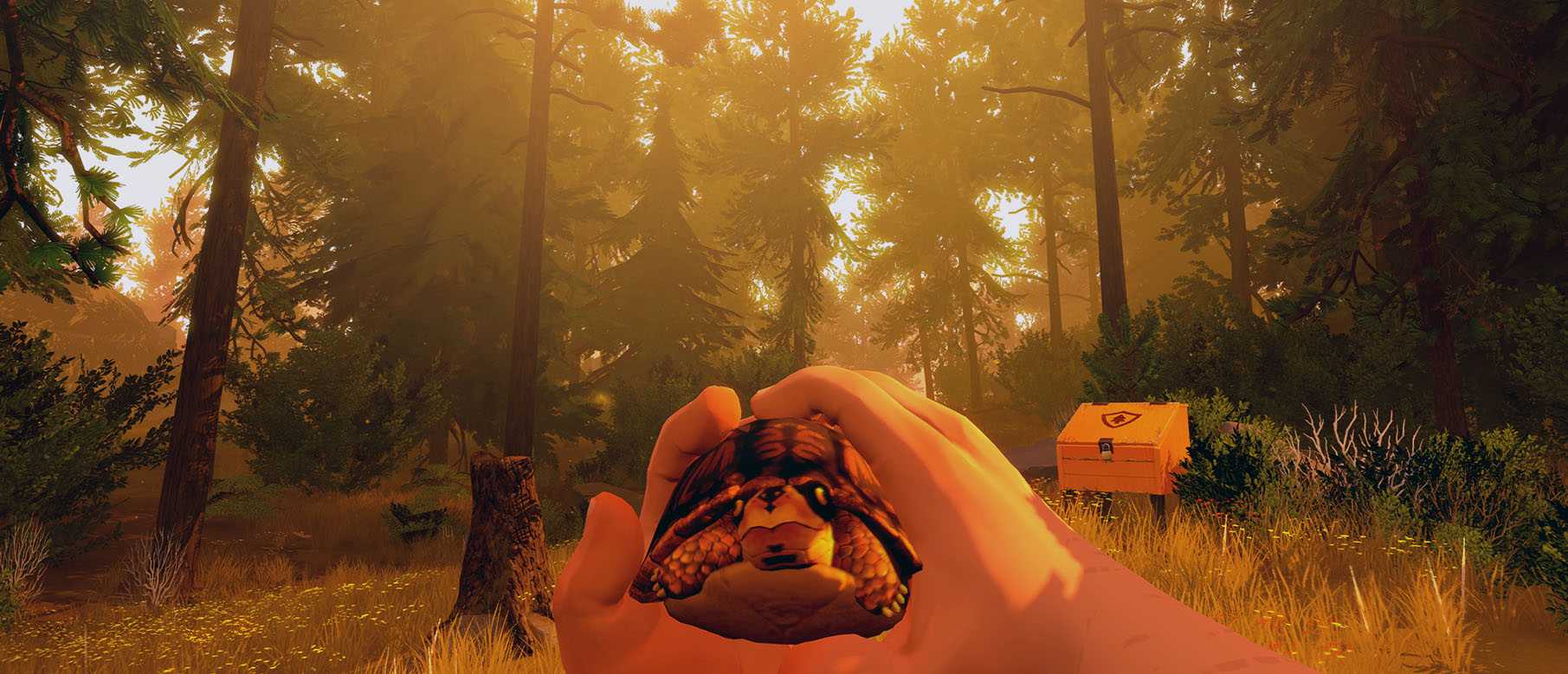 Сюжет | firewatch вики | fandom
