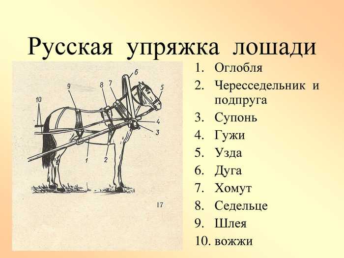 Как разводить каждое животное в майнкрафт (2021)