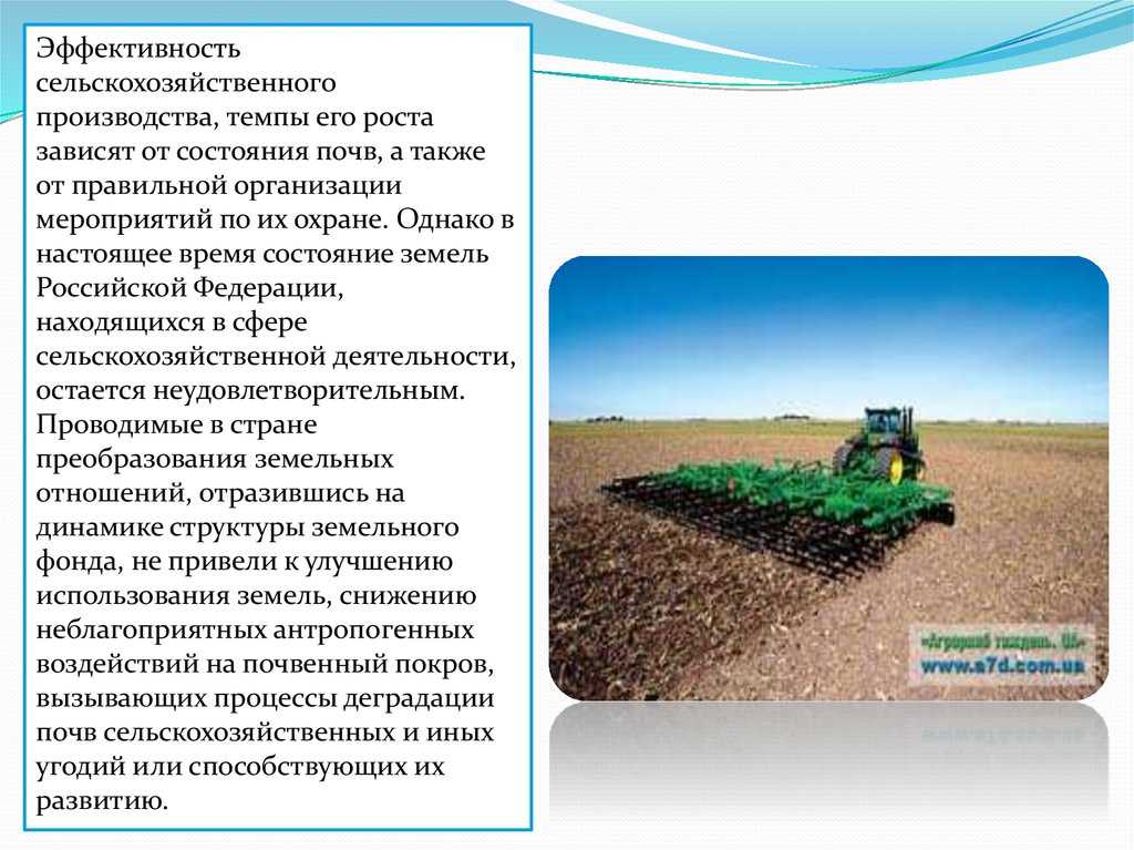Как построить свою ферму в farming simulator 19: советы и инструкции