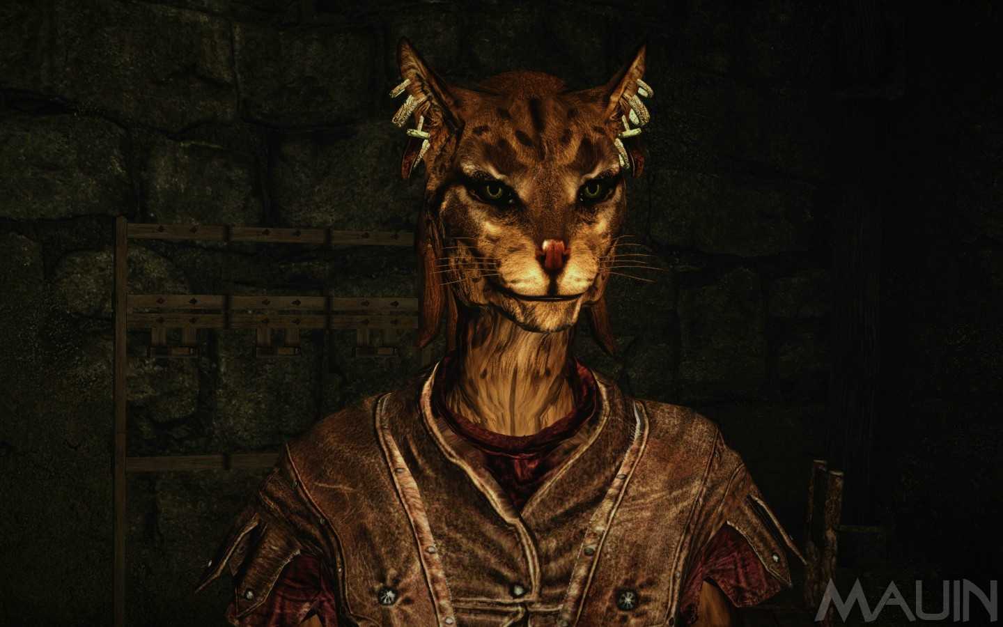 Лучшие моды на каджитов для skyrim скачать - моды для игр