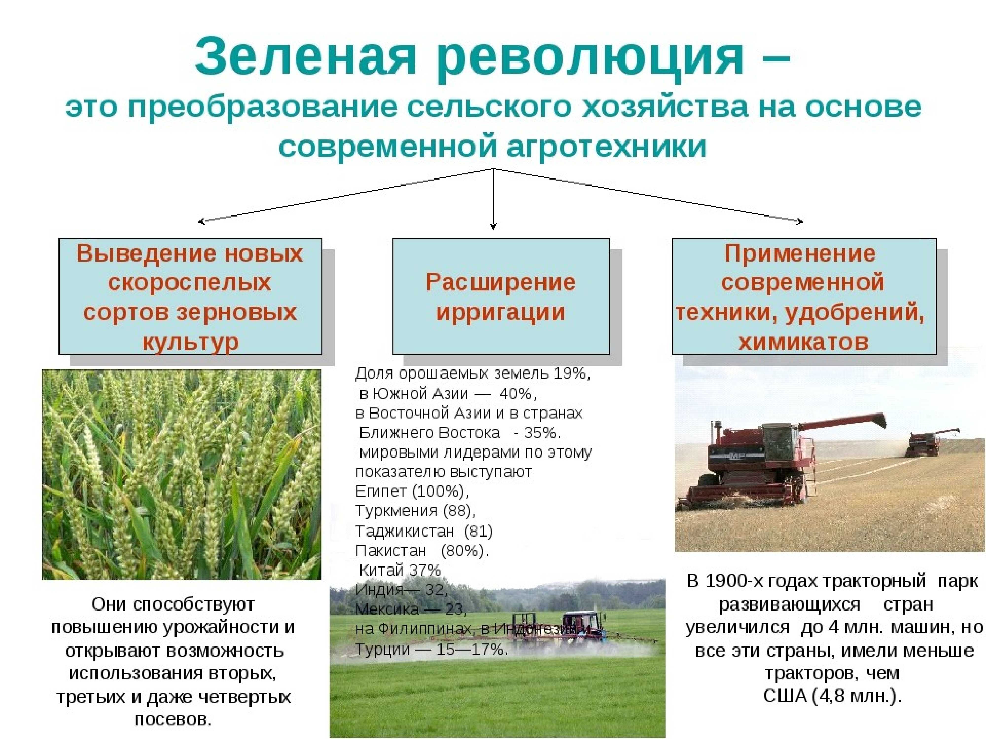 Пахотная площадь