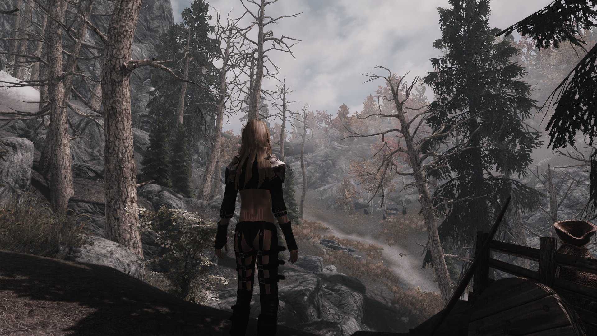 Многие до сих пор считают, что в Oblivion интерфейс был лучше, чем в Skyrim Вот почему соответствующие модификации для TES V так популярны Поэтому мы решили составить подборку лучших модов, способных поднять интерфейс игры на новый уровень