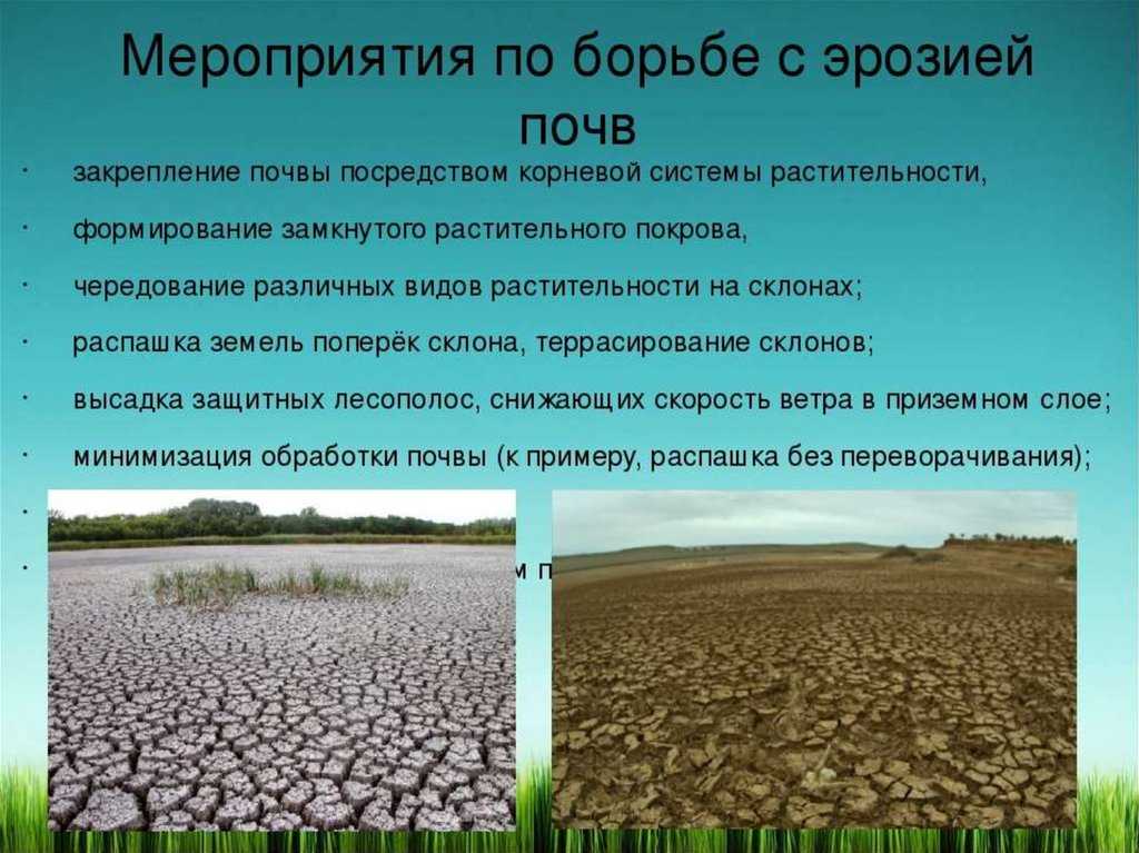 Полный гайд для новичков по farming simulator 22