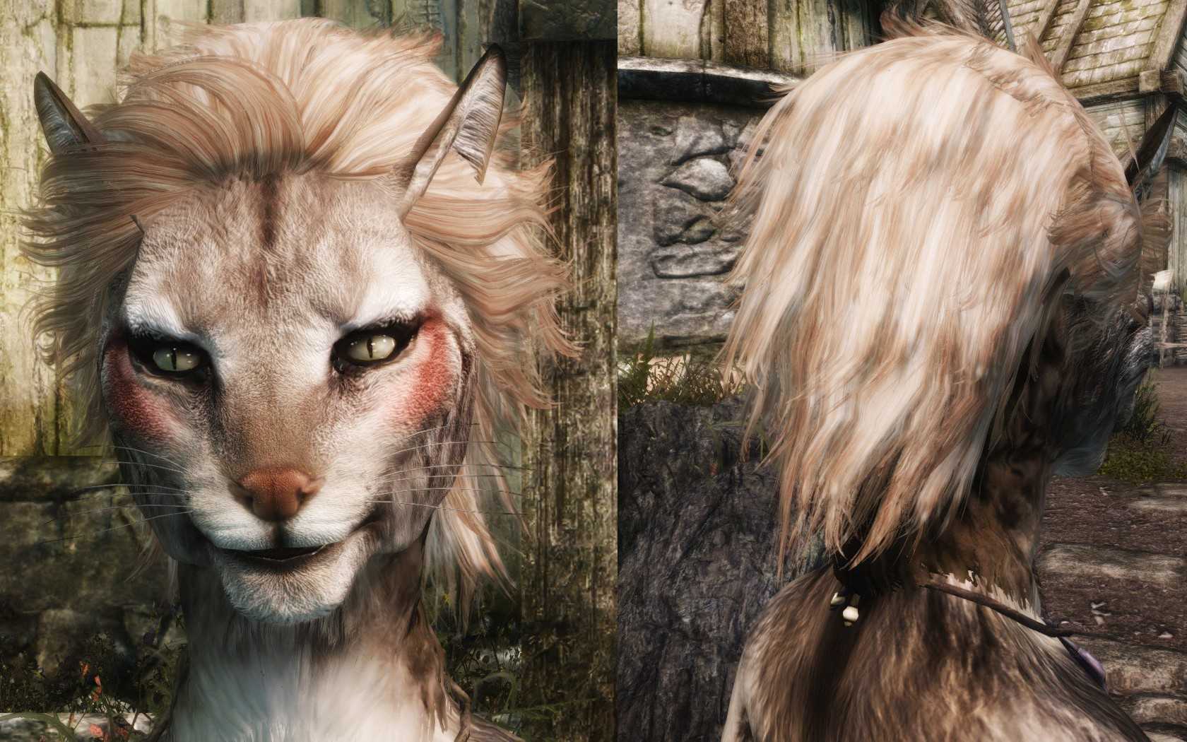 Находитесь в поисках самых крутых модов на каджитов для Skyrim Что ж, вы попали в нужное место