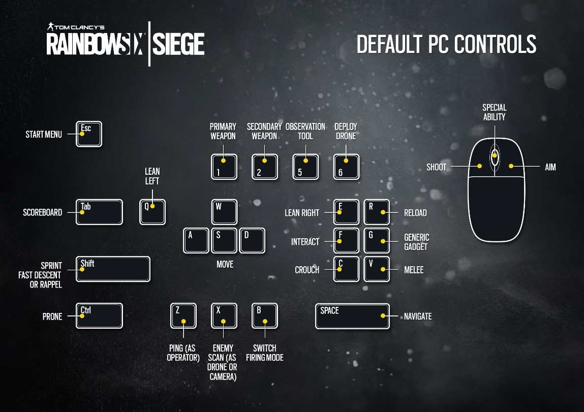 Лучшие комбинации оперативников в rainbow six siege