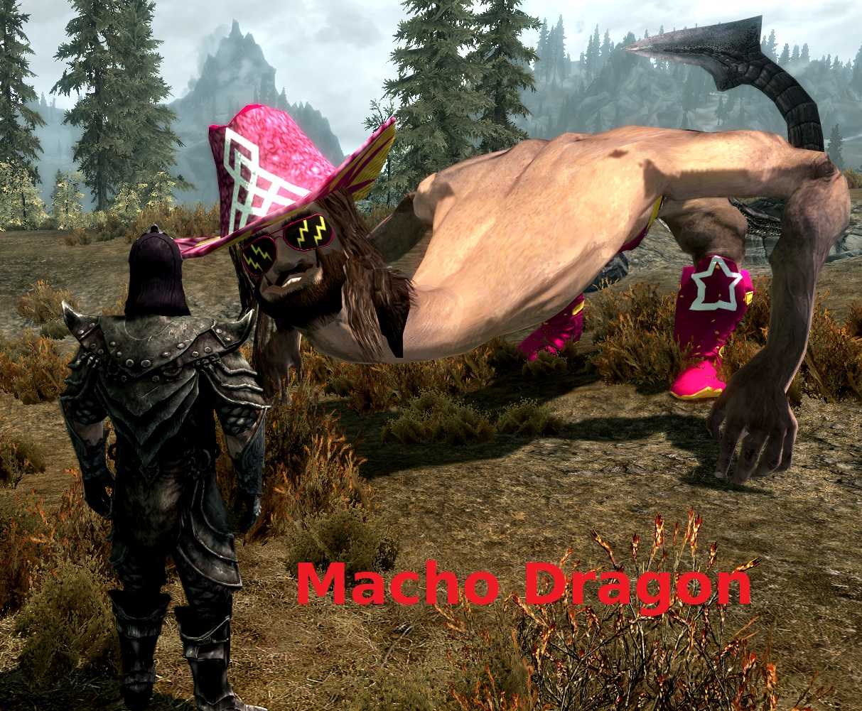 В базовой версии Skyrim довольно интересные монстры Но если вы играли в нее все эти годы, то наверняка уже задавались вопросом, почему фауна игры не может быть чуть более разнообразной Не расстраивайтесь – множество моддеров разделяет ваше мнение