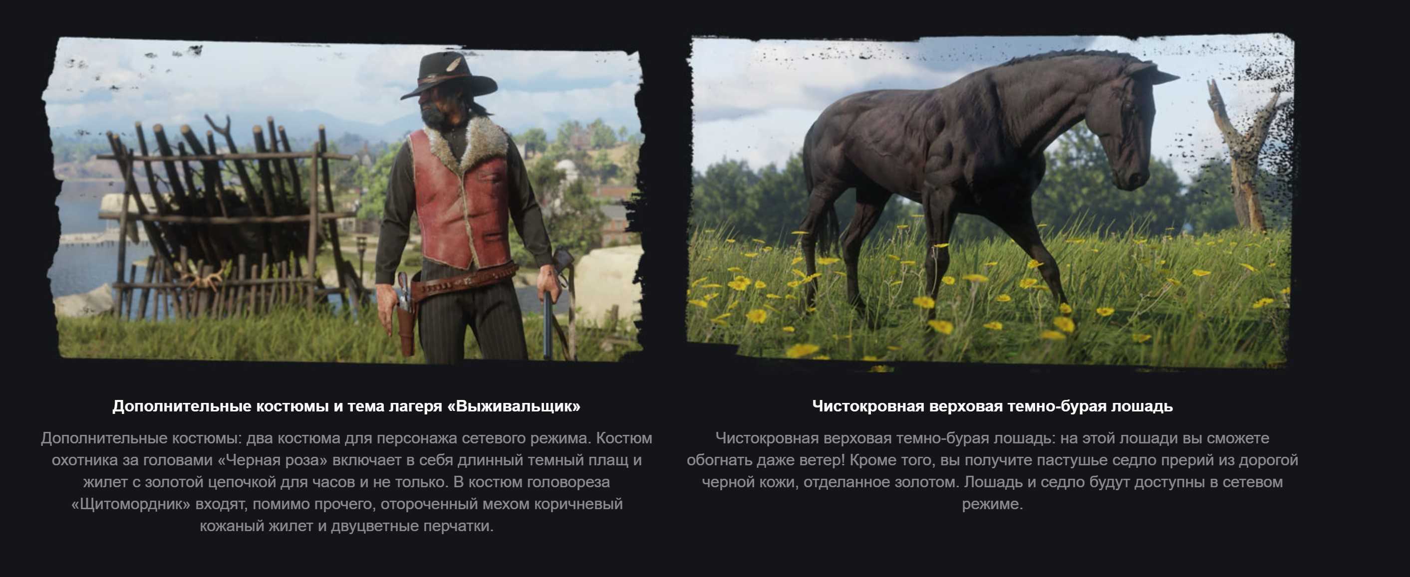 Честь в red dead redemption 2: ранги и награды | как заработать очки? • red dead redemption 2