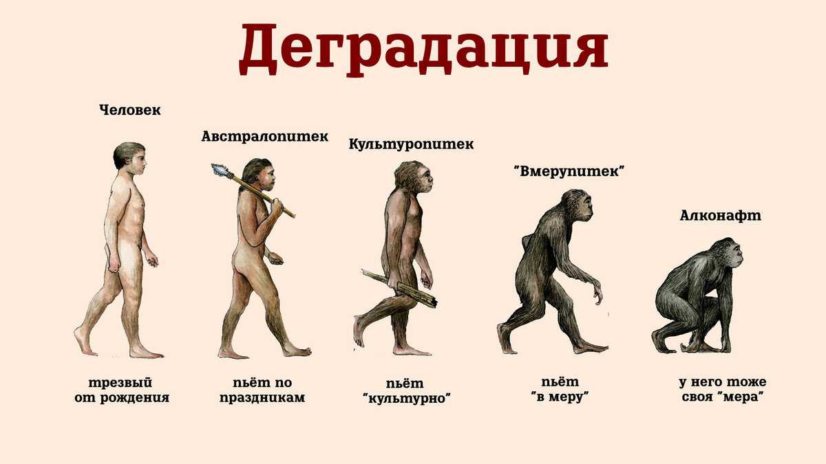 Spore скачать торрент