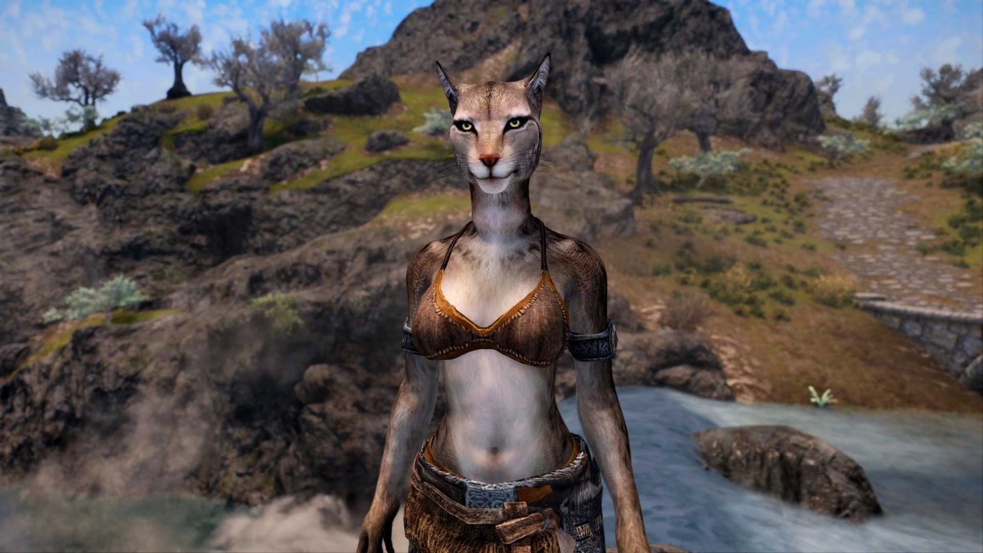 Как убрать хвост у каджита в skyrim