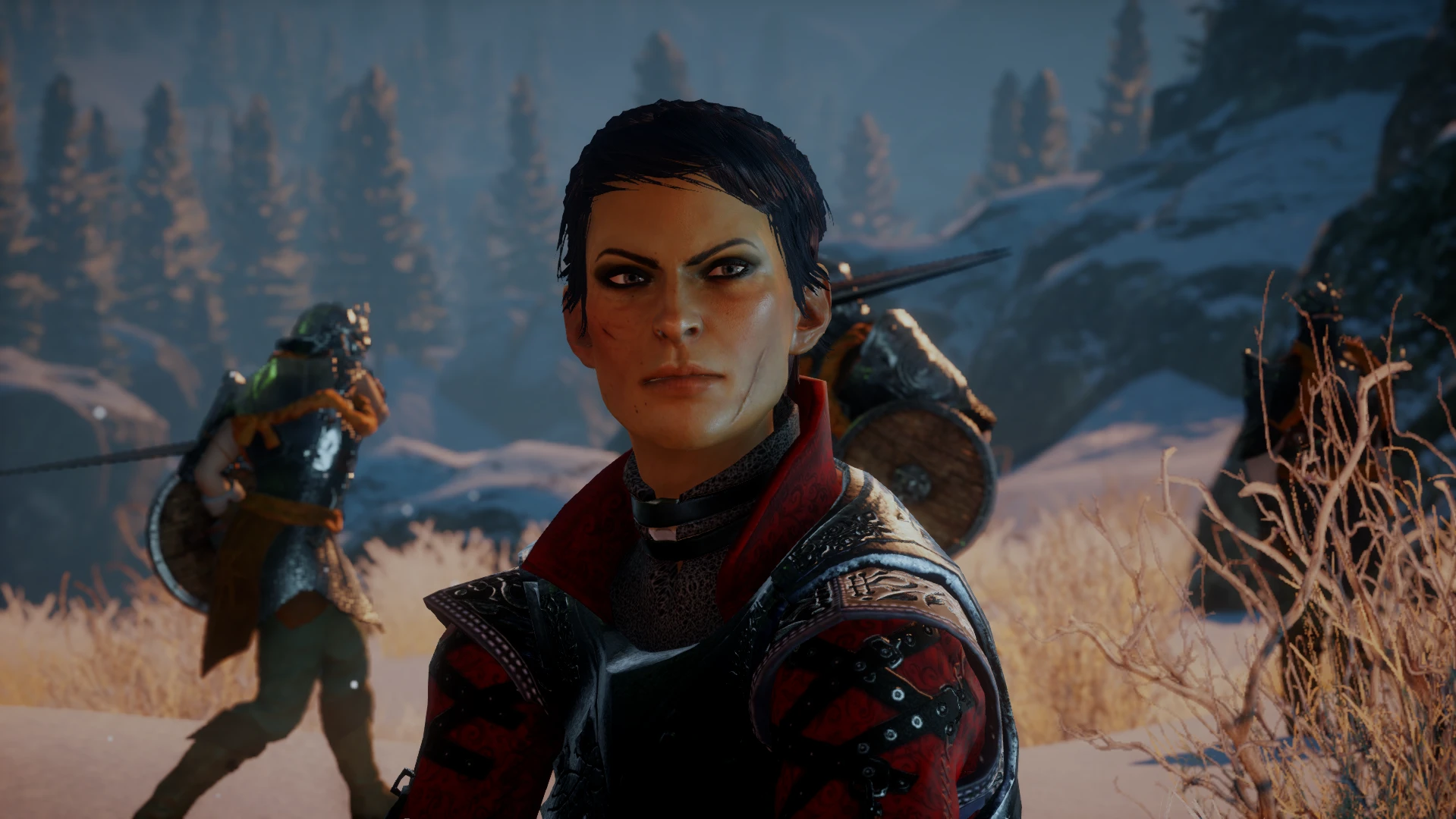 Лучшие моды для инквизиции dragon age