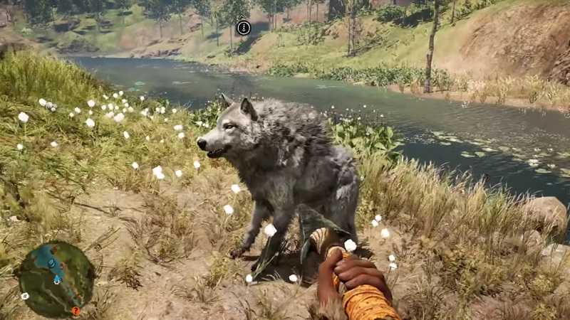 Far cry primal руководство по укрощению животных