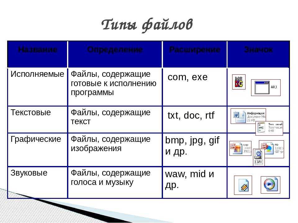 Где хранится наша память, как можно картографировать мозг и почему внимание — это фикция