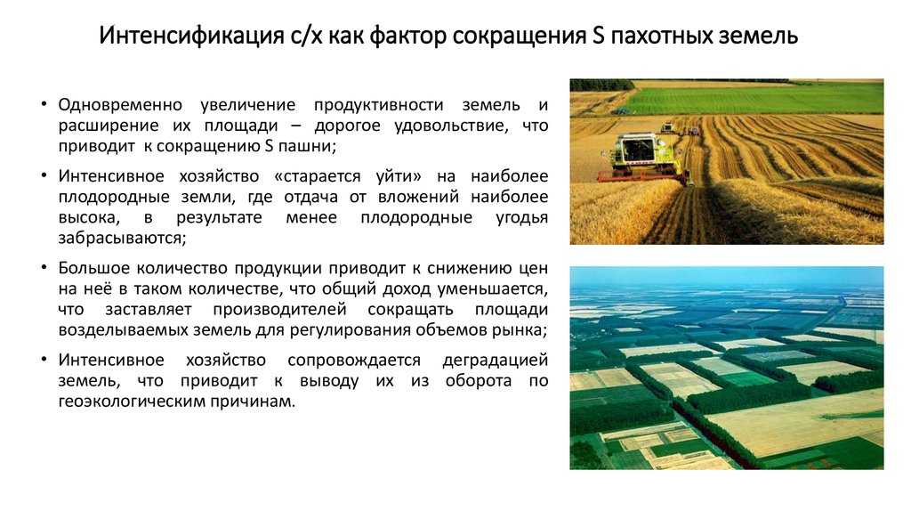 Трудно говорить о развитии нашей фермы, если мы не расширим ее площадь Площадь пахотных земель может быть увеличена двумя способами Мы можем купить