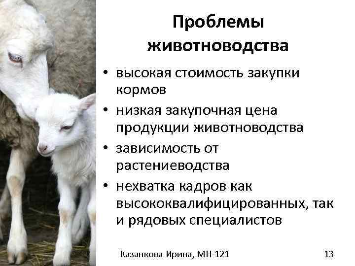 Как выбрать вид деятельности для кфх