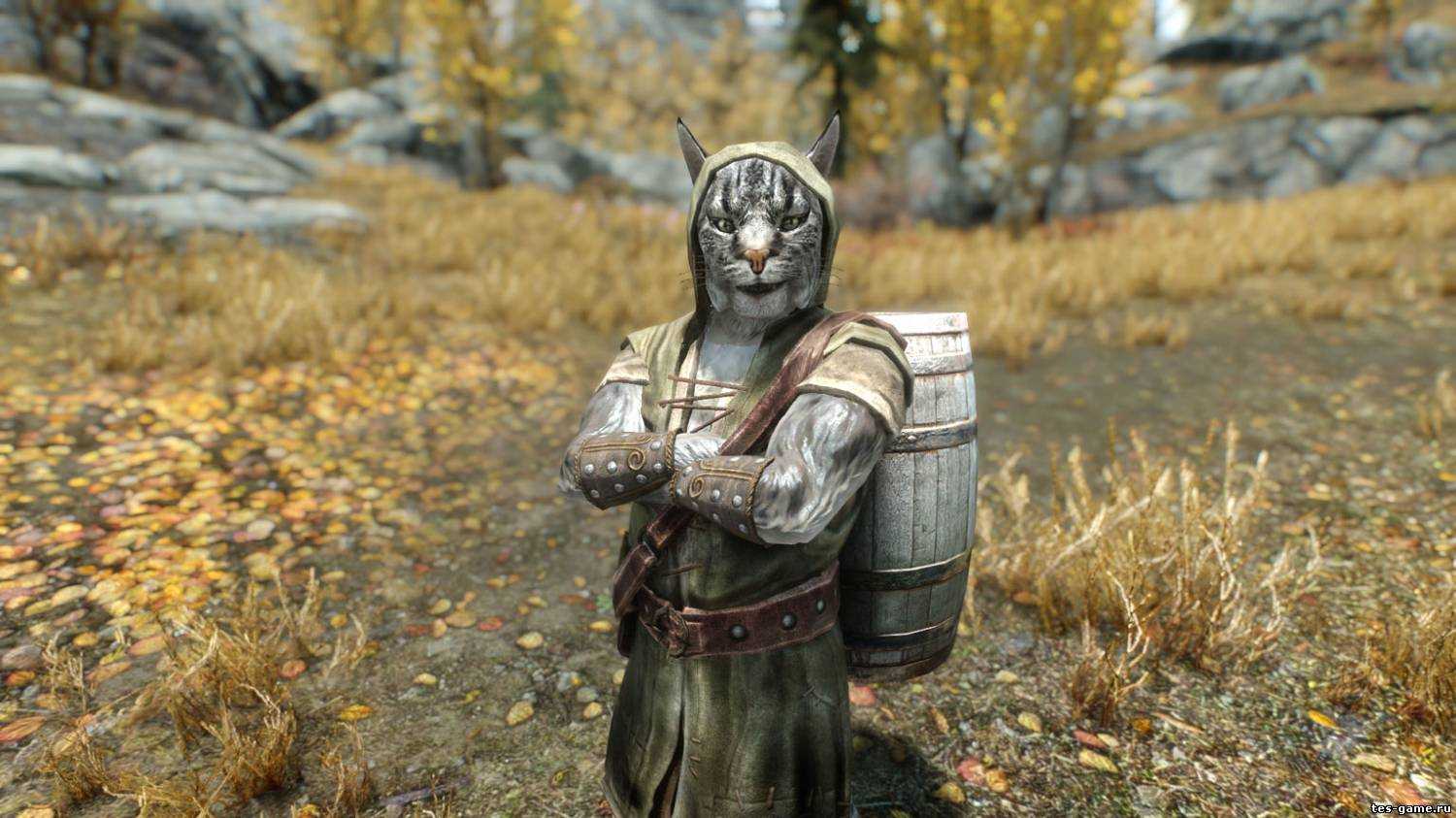 Лучшие моды на щиты для skyrim скачать - моды для игр