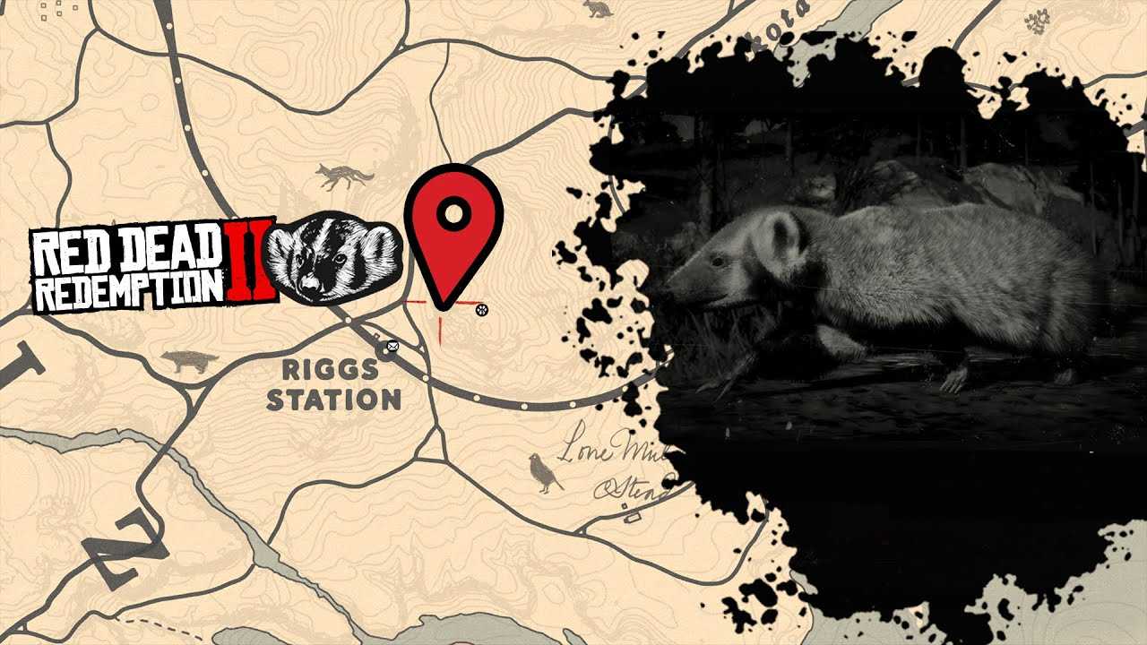 Red dead redemption 2. прохождение игры (4)