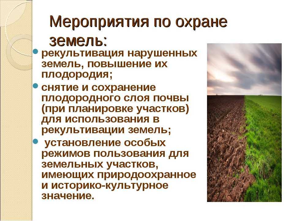 Планета превращается в сплошную ферму — чем опасны пахотные земли - hi-news.ru